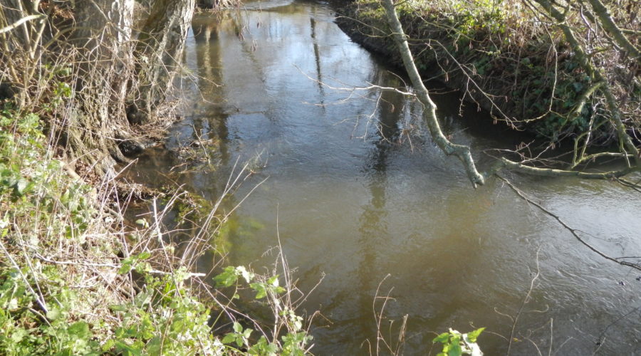 MARCILLY SUR MAULNE