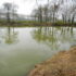 TOURNON SAINT PIERRE - ETANG DE La Balastière